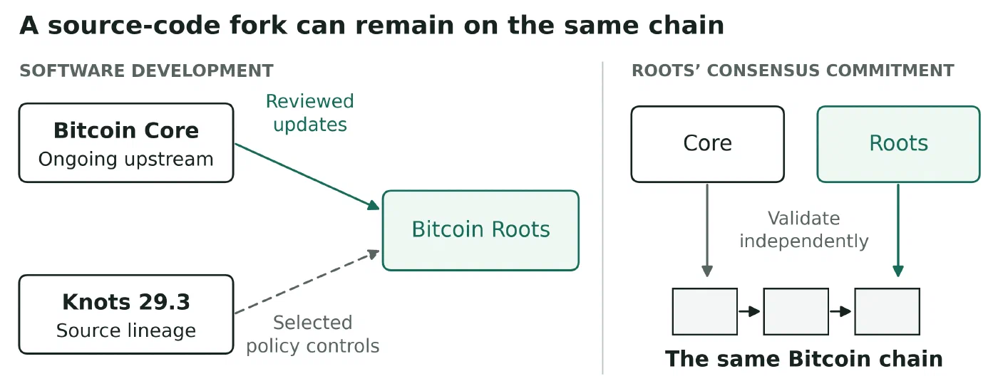 Core supplies ongoing upstream development to Roots. The Knots 29.3 lineage supplies selected policy controls. Core and Roots independently validate the same Bitcoin chain as required by the Roots consensus commitment.